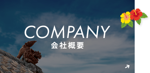bnrhalf_company_off